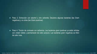 

Paso 3. Extracción con alcohol u otro solvente. Decolora algunas bacterias (las Gram
negativas) y no otras (las Gram positivas).



Paso 4. Tinción de contraste con safranina. Las bacterias gram positivas ya están teñidas
con cristal violeta y permanecen de color púrpura. Las bacterias gram negativas se tiñen
de color rosa.

Murray, Capitulo 2. pp16-18 y 21. Escuela de la medicina Universidad de Carolina del sur. Microbiología e inmunología on-line. http://pathmicro.med.sc.edu/spanish/chapter2.htm. May 5 2009.

 