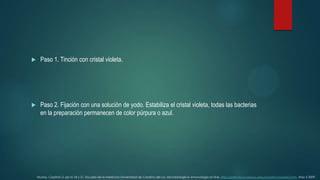 

Paso 1. Tinción con cristal violeta.



Paso 2. Fijación con una solución de yodo. Estabiliza el cristal violeta, todas las bacterias
en la preparación permanecen de color púrpura o azul.

Murray, Capitulo 2. pp16-18 y 21. Escuela de la medicina Universidad de Carolina del sur. Microbiología e inmunología on-line. http://pathmicro.med.sc.edu/spanish/chapter2.htm. May 5 2009.

 