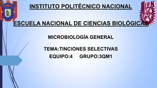 INSTITUTO POLITÉCNICO NACIONAL
ESCUELA NACIONAL DE CIENCIAS BIOLÓGICAS
MICROBIOLOGÍA GENERAL
TEMA:TINCIONES SELECTIVAS
EQUIPO:4 GRUPO:3QM1
 