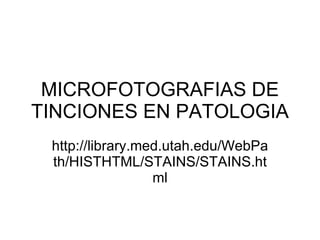 MICROFOTOGRAFIAS DE TINCIONES EN PATOLOGIA http://library.med.utah.edu/WebPath/HISTHTML/STAINS/STAINS.html 