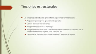 Tinciones estructurales
 Las tinciones estructurales presenta las siguientes características:
 Requieren fijación previa...