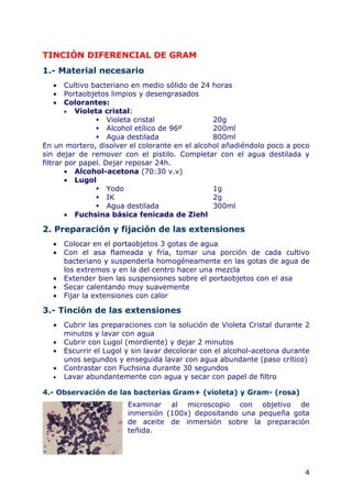 4
TINCIÓN DIFERENCIAL DE GRAM
1.- Material necesario
• Cultivo bacteriano en medio sólido de 24 horas
• Portaobjetos limpios y desengrasados
• Colorantes:
• Violeta cristal:
Violeta cristal 20g
Alcohol etílico de 96º 200ml
Agua destilada 800ml
En un mortero, disolver el colorante en el alcohol añadiéndolo poco a poco
sin dejar de remover con el pistilo. Completar con el agua destilada y
filtrar por papel. Dejar reposar 24h.
• Alcohol-acetona (70:30 v.v)
• Lugol
Yodo 1g
IK 2g
Agua destilada 300ml
• Fuchsina básica fenicada de Ziehl
2. Preparación y fijación de las extensiones
• Colocar en el portaobjetos 3 gotas de agua
• Con el asa flameada y fría, tomar una porción de cada cultivo
bacteriano y suspenderla homogéneamente en las gotas de agua de
los extremos y en la del centro hacer una mezcla
• Extender bien las suspensiones sobre el portaobjetos con el asa
• Secar calentando muy suavemente
• Fijar la extensiones con calor
3.- Tinción de las extensiones
• Cubrir las preparaciones con la solución de Violeta Cristal durante 2
minutos y lavar con agua
• Cubrir con Lugol (mordiente) y dejar 2 minutos
• Escurrir el Lugol y sin lavar decolorar con el alcohol-acetona durante
unos segundos y enseguida lavar con agua abundante (paso crítico)
• Contrastar con Fuchsina durante 30 segundos
• Lavar abundantemente con agua y secar con papel de filtro
4.- Observación de las bacterias Gram+ (violeta) y Gram- (rosa)
Examinar al microscopio con objetivo de
inmersión (100x) depositando una pequeña gota
de aceite de inmersión sobre la preparación
teñida.
 