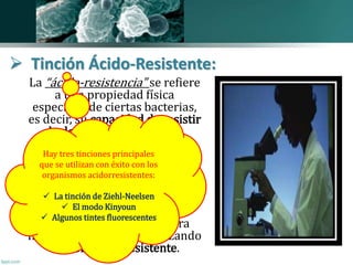  Tinción Ácido-Resistente: 
La “ácido-resistencia" se refiere 
a una propiedad física 
específica de ciertas bacterias, 
es decir, su capacidad de resistir 
la decoloración del ácido 
durante los procedimientos de 
Hay tres tinciones tinción. 
principales 
que se utilizan con éxito con los 
organismos acidorresistentes: 
Estos organismos resistentes se 
denominan  La tinción de "microorganismos 
Ziehl-Neelsen 
 El modo Kinyoun 
ácido-resistentes", y sólo 
 pueden Algunos ser tintes coloreados fluorescentes 
para 
fines de visualización utilizando 
tinción ácidorresistente. 
 