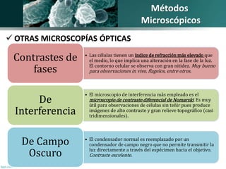 Métodos 
Microscópicos 
 OTRAS MICROSCOPÍAS ÓPTICAS 
• Las células tienen un índice de refracción más elevado que 
el medio, lo que implica una alteración en la fase de la luz. 
El contorno celular se observa con gran nitidez. Muy bueno 
para observaciones in vivo, flagelos, entre otros. 
Contrastes de 
fases 
• El microscopio de interferencia más empleado es el 
microscopio de contraste diferencial de Nomarski. Es muy 
útil para observaciones de células sin teñir pues produce 
imágenes de alto contraste y gran relieve topográfico (casi 
tridimensionales). 
De 
Interferencia 
• El condensador normal es reemplazado por un 
condensador de campo negro que no permite transmitir la 
luz directamente a través del espécimen hacia el objetivo. 
Contraste excelente. 
De Campo 
Oscuro 
 