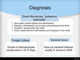 Diagnosis
 skin scales contain hyphae and arthrospores.
 Ectothrix: arthrospores can be seen surrounding the hair shaft.
 Endothrix: spores within hair shaft.
 Favus: loose chains of arthrospores and airspaces in hair shaft
Direct Microscopy ”potassium
hydroxide”
Growth of dermatophytes
usually seen in 10-14 days.
Rule out bacterial infection,
usually S. aureus or GAS.
Fungal Culture Bacterial Culture
 