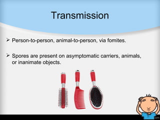 Transmission
 Person-to-person, animal-to-person, via fomites.
 Spores are present on asymptomatic carriers, animals,
or inanimate objects.
 