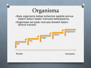 Organisma	
O Satu organisma bebas terbentuk apabila semua
sistem dalam badan manusia bekerjasama.
O Organisasi sel pada manusia diwakili dalam
bentuk hierarki.
Sel
Tisu
Organ
Sistem
Organisma
Mudah Kompleks
 