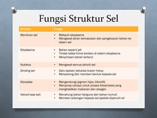 Fungsi	Struktur	Sel	
Struktur Fungsi
Membran sel •  Meliputi sitoplasma
•  Mengawal aliran kemasukan dan pengeluaran bahan ke
dalam sel
Sitoplasma •  Bahan seperti jeli
•  Tindak balas kimia berlaku di dalam sitoplasma
•  Menyimpan bahan terlarut
Nukleus •  Mengawal semua aktiviti sel
Dinding sel •  Satu lapisan selulosa bukan hidup
•  Menyokong dan memberi bentuk kepada sel
Kloroplas •  Mengandungi pigmen hijau (klorofil)
•  Menyerap cahaya untuk proses fotosintesis yang
menghasilkan makanan dan oksigen
Vakuol (sap sel) •  Menakung bahan berguna dan bahan kumuh
•  Memberi sokongan kepada sel apabila dipenuhi air
 