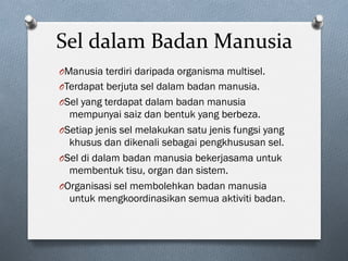 Sel	dalam	Badan	Manusia	
O Manusia terdiri daripada organisma multisel.
O Terdapat berjuta sel dalam badan manusia.
O Sel yang terdapat dalam badan manusia
mempunyai saiz dan bentuk yang berbeza.
O Setiap jenis sel melakukan satu jenis fungsi yang
khusus dan dikenali sebagai pengkhususan sel.
O Sel di dalam badan manusia bekerjasama untuk
membentuk tisu, organ dan sistem.
O Organisasi sel membolehkan badan manusia
untuk mengkoordinasikan semua aktiviti badan.
 