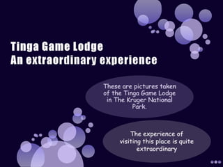 Tinga Game Lodge