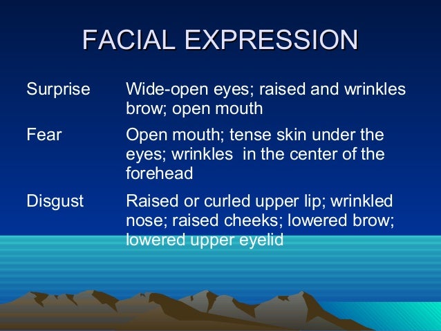 KOMUNIKASI DAN INTERAKSI SOSIAL Tingkah laku non verbal 