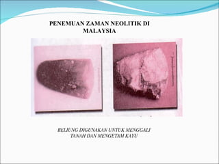 PENEMUAN ZAMAN NEOLITIK DI MALAYSIA BELIUNG DIGUNAKAN UNTUK MENGGALI TANAH DAN MENGETAM KAYU 