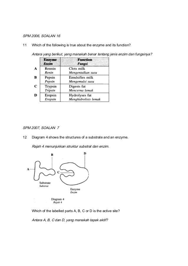Soalan Biologi Tingkatan 4 - Terengganu n
