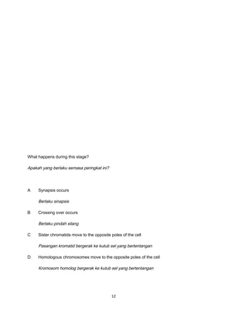 What happens during this stage?
Apakah yang berlaku semasa peringkat ini?
A Synapsis occurs
Berlaku sinapsis
B Crossing over occurs
Berlaku pindah silang
C Sister chromatids move to the opposite poles of the cell
Pasangan kromatid bergerak ke kutub sel yang bertentangan
D Homologous chromosomes move to the opposite poles of the cell
Kromosom homolog bergerak ke kutub sel yang bertentangan
12
 