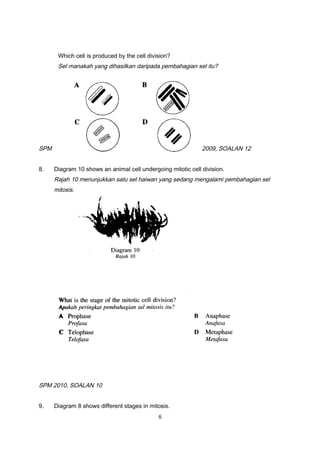 Which cell is produced by the cell division?
Sel manakah yang dihasilkan daripada pembahagian sel itu?
SPM 2009, SOALAN 12
8. Diagram 10 shows an animal cell undergoing mitotic cell division.
Rajah 10 menunjukkan satu sel haiwan yang sedang mengalami pembahagian sel
mitosis.
SPM 2010, SOALAN 10
9. Diagram 8 shows different stages in mitosis.
6
 