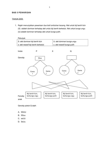 1
BAB 5 PEWARISAN
TAHUN 2005
1. Rajah menunjukkan pewarisan dua trait tumbuhan kacang. Alel untuk biji benih licin
(S) adalah dominan terhadap alel untuk biji benih berkedut. Alel untuk bunga ungu
(U) adalah dominan terhadap alel untuk bunga putih.
Petunjuk:
S: alel dominan biji benih licin
s: alel resesif biji benih berkedut
U: alel dominan bunga ungu
u: alel resesif bunga putih
Induk P X Q
Genotip
Fenotip
anak
Genotip pokok Q ialah
A. SSUU
B. SSuu
C. ssUU
D. SsUu
Biji benih licin,
berbunga ungu
SSuu
Game
t
Game
t
Game
t
Game
t
Biji benih licin,
berbunga ungu
Biji benih licin,
berbunga putih
Biji benih licin,
berbunga putih
 