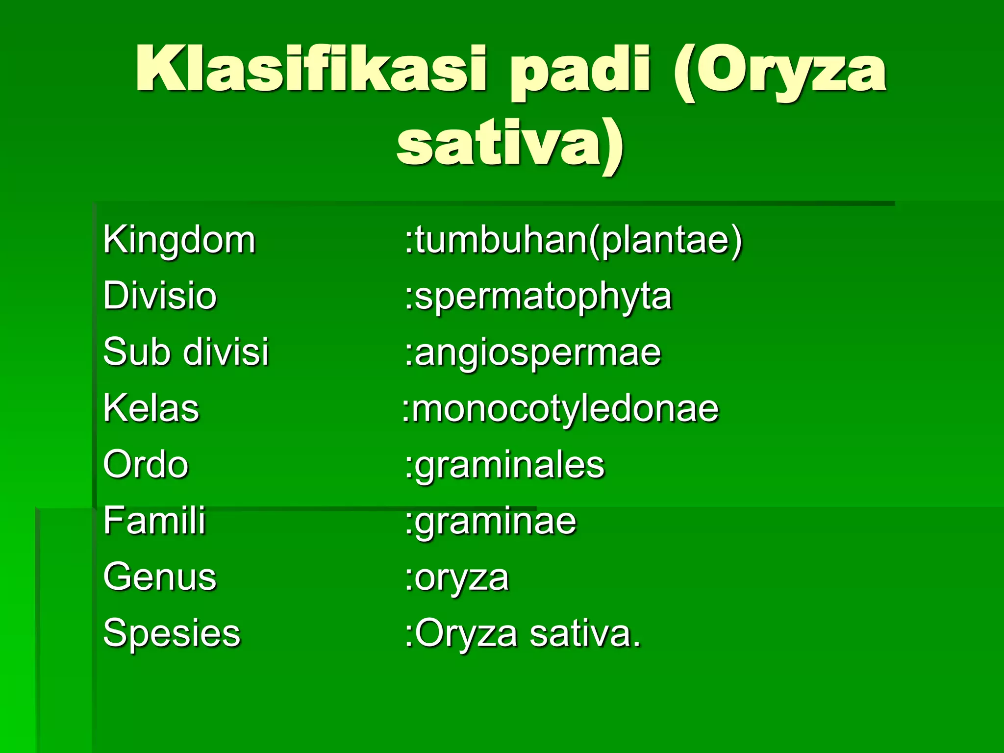 tingkatan taksonomi.ppt