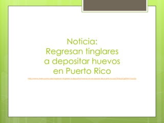 Noticia:
Regresan tinglares
a depositar huevos
en Puerto Rico
http://www.metro.pr/locales/regresan-tinglares-a-depositar-huevos-en-las-playas-de-puerto-rico/pGXnbq!Gg0htm7oUyQ/

 