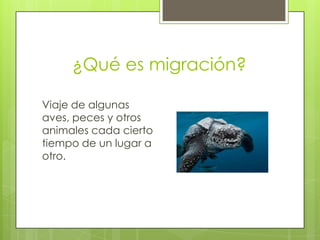 ¿Qué es migración?
Viaje de algunas
aves, peces y otros
animales cada cierto
tiempo de un lugar a
otro.

 
