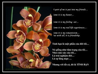 A part of me is put into my friends…
Some it is my humor…
Some it is my feeling ear…
Some it is my real life experiences…
Some it is my romanticism…
but with all, it is friendship.
Tình bạn là một phần của đời tôi…
Nó giống như tâm trạng của tôi…
Như cảm xúc của tôi…
Là trải nghiệm đời…
Là sự lãng mạn …
Nhưng với tất cả, đó là TÌNH BẠN
 