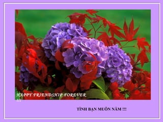  
TÌNH BẠN MUÔN NĂM !!! 
HAPPY FRIENDSHIP FOREVER
!!!
 