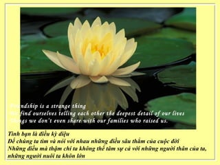 Friendship is a strange thing
We find ourselves telling each other the deepest detail of our lives
Things we don’t even share with our families who raised us.
Tình bạn là điều kỳ diệu
Để chúng ta tìm và nói với nhau những điều sâu thẳm của cuộc đời
Những điều mà thậm chí ta không thể tâm sự cả với những người thân của ta,
những người nuôi ta khôn lớn
 