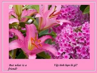 But what is a
friend?
Vậy tình bạn là gì?
 
