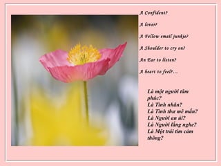 A Confident?
A lover?
A Fellow email junkie?
A Shoulder to cry on?
An Ear to listen?
A heart to feel?…
Là một người tâm
phúc?
Là Tình nhân?
Là Tình thư mê mẩn?
Là Người an ủi?
Là Người lắng nghe?
Là Một trái tim cảm
thông?
 