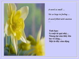 A word so small …
Yet so large in feeling …
A word filled with emotion
…
Tình bạn:
Là một từ quá nhỏ…
Nhưng lại cảm thấy lớn
lao vô cùng…
Một từ đầy cảm dộng
 
 