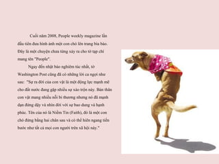 Cuối năm 2008, People weekly magazine lần
đầu tiên đưa hình ảnh một con chó lên trang bìa báo.
Đây là một chuyện chưa từng...
