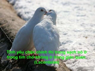 Tình yêu chân chính thì trong sạch nó ở
trong tim chớ không ở trong giác quan.
(Lacordaize)
 