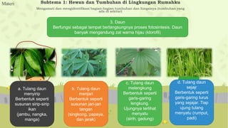 Bagian-Bagian Tumbuhan Dan Fungsinya | PPTX