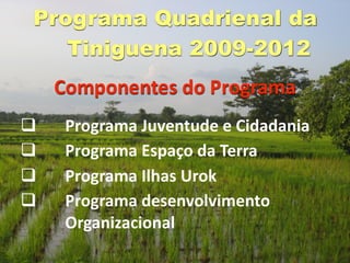 Programa Quadrienal da
   Tiniguena 2009-2012
    Componentes do Programa
    Programa Juventude e Cidadania
    Programa Espaço da Terra
    Programa Ilhas Urok
    Programa desenvolvimento 
     Organizacional
 