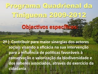 Programa Quadrienal da
  Tiniguena 2009-2012
          ObjecGvos especíﬁcos:

2º )  Contribuir para maior sinergias dos actores 
    sociais visando a eﬁcácia na sua intervenção 
    para a inﬂuência de políGcas favoráveis à 
    conservação e valorização da biodiversidade e 
    dos saberes associados, através do exercício da 
    cidadania
 