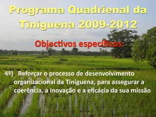 Programa Quadrienal da
  Tiniguena 2009-2012
          ObjecGvos especíﬁcos:


4º)   Reforçar o processo de desenvolvimento 
   organizacional da Tiniguena, para assegurar a 
   coerência, a inovação e a eﬁcácia da sua missão
 