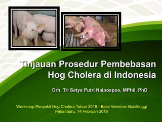 Tinjauan Prosedur Pembebasan
Hog Cholera di Indonesia
Drh. Tri Satya Putri Naipospos, MPhil, PhD
Workshop Penyakit Hog Cholera Tahun 2018 - Balai Veteriner Bukittinggi
Pekanbaru, 14 Februari 2018
 