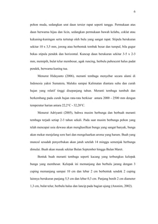 6
pohon muda, sedangkan urat daun tersier rapat seperti tangga. Permukaan atas
daun berwarna hijau dan licin, sedangkan permukaan bawah kelabu, coklat atau
kekuning-kuningan serta tertutup oleh bulu yang sangat rapat. Stipula berukuran
sekitar 10 x 3,5 mm, jorong atau berbentuk tombak besar dan tumpul, bila gugur
bekas stipula pendek dan horizontal. Kuncup daun berukuran sekitar 3-5 x 2-3
mm, memipih, bulat telur membesar, agak runcing, berbulu pubescent halus padat
pendek, berwarna kuning tua.
Menurut Hidayanto (2006), meranti tembaga menyebar secara alami di
Indonesia yakni Sumatera, Maluku sampai Kalimatan diantara suhu dan curah
hujan yang relatif tinggi disepanjang tahun. Meranti tembaga tumbuh dan
berkembang pada curah hujan rata-rata berkisar antara 2000 - 2500 mm dengan
temperatur harian antara 22,2°C - 32,28°C.
Menurut Adriyanti (2005), bahwa musim berbunga dan berbuah meranti
tembaga terjadi setiap 2-3 tahun sekali. Pada saat musim berbunga pohon yang
telah mencapai usia dewasa akan menghasilkan bunga yang sangat banyak, bunga
akan mekar menjelang sore hari dan mengeluarkan aroma yang harum. Buah yang
muncul sesudah penyerbukan akan jatuh setelah 14 minggu semenjak berbunga
dimulai. Buah akan masak sekitar Bulan September hingga Bulan Maret.
Bentuk buah meranti tembaga seperti kacang yang terbungkus kelopak
bunga yang membesar. Kelopak ini memanjang dan berbulu jarang dengan 3
cuping memanjang sampai 10 cm dan lebar 2 cm berbentuk sendok 2 cuping
lainnya berukuran panjang 5,5 cm dan lebar 0,3 cm. Panjang benih 2 cm diameter
1,3 cm, bulat telur, berbulu halus dan lancip pada bagian ujung (Anonim, 2002).
 