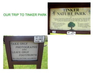 OUR TRIP TO TINKER PARK
 