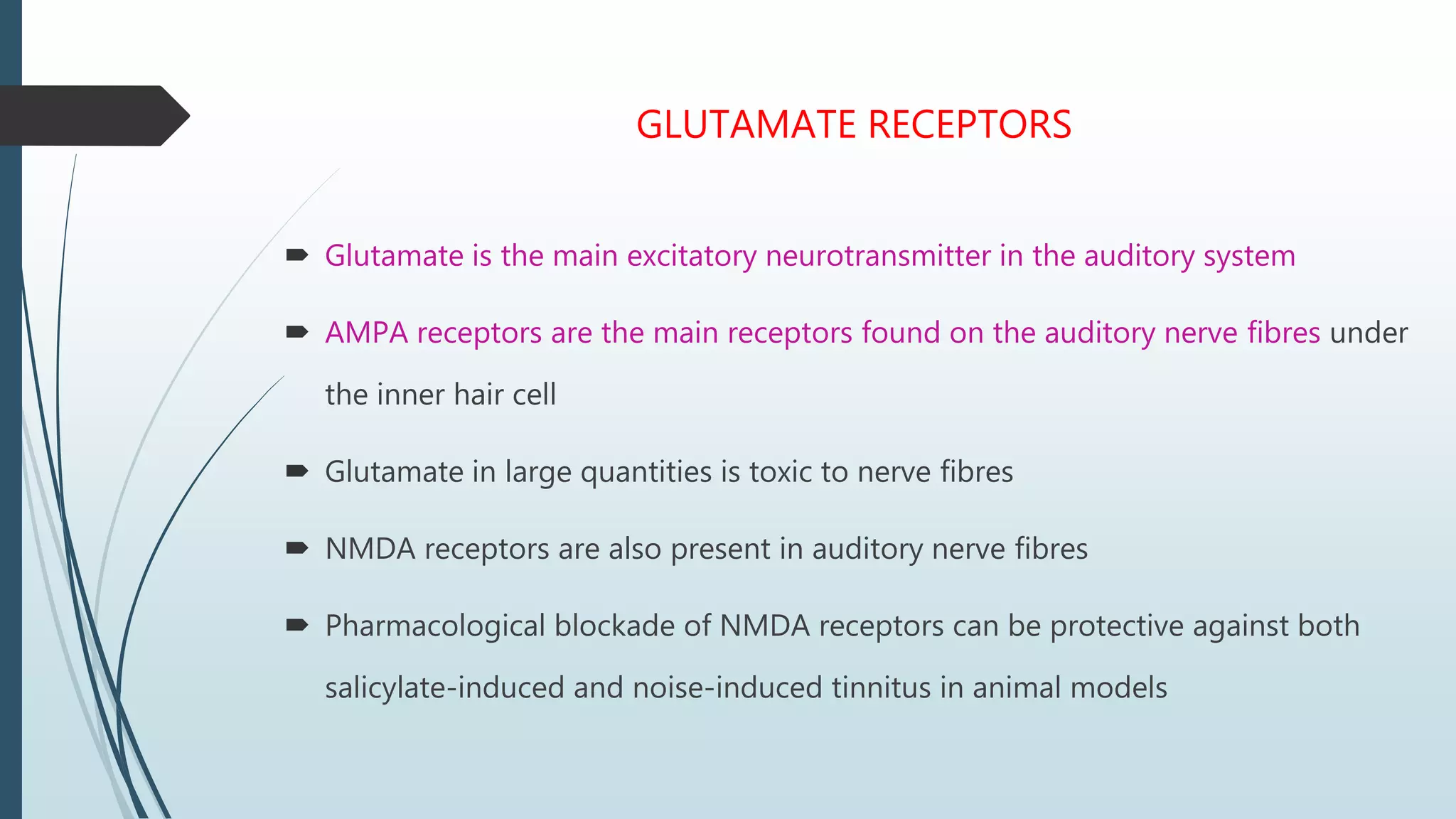 GLUTAMATE RECEPTORS
 Glutamate is the main excitatory neurotransmitter in the auditory system
 AMPA receptors are the main receptors found on the auditory nerve fibres under
the inner hair cell
 Glutamate in large quantities is toxic to nerve fibres
 NMDA receptors are also present in auditory nerve fibres
 Pharmacological blockade of NMDA receptors can be protective against both
salicylate-induced and noise-induced tinnitus in animal models
 