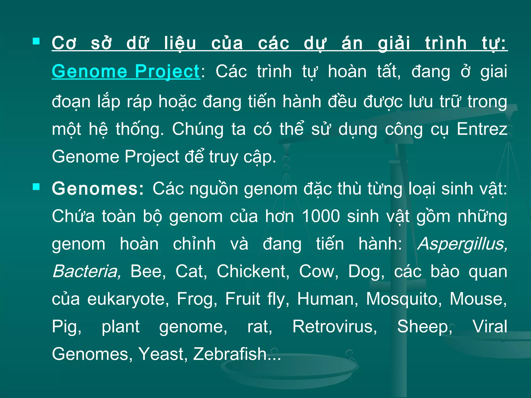  Cơ sở dữ liệu của các dự án giải trình tự:
Genome Project: Các trình tự hoàn tất, đang ở giai
đoạn lắp ráp hoặc đang tiến hành đều được lưu trữ trong
một hệ thống. Chúng ta có thể sử dụng công cụ Entrez
Genome Project để truy cập.
 Genomes: Các nguồn genom đặc thù từng loại sinh vật:
Chứa toàn bộ genom của hơn 1000 sinh vật gồm những
genom hoàn chỉnh và đang tiến hành: Aspergillus,
Bacteria, Bee, Cat, Chickent, Cow, Dog, các bào quan
của eukaryote, Frog, Fruit fly, Human, Mosquito, Mouse,
Pig, plant genome, rat, Retrovirus, Sheep, Viral
Genomes, Yeast, Zebrafish...
 