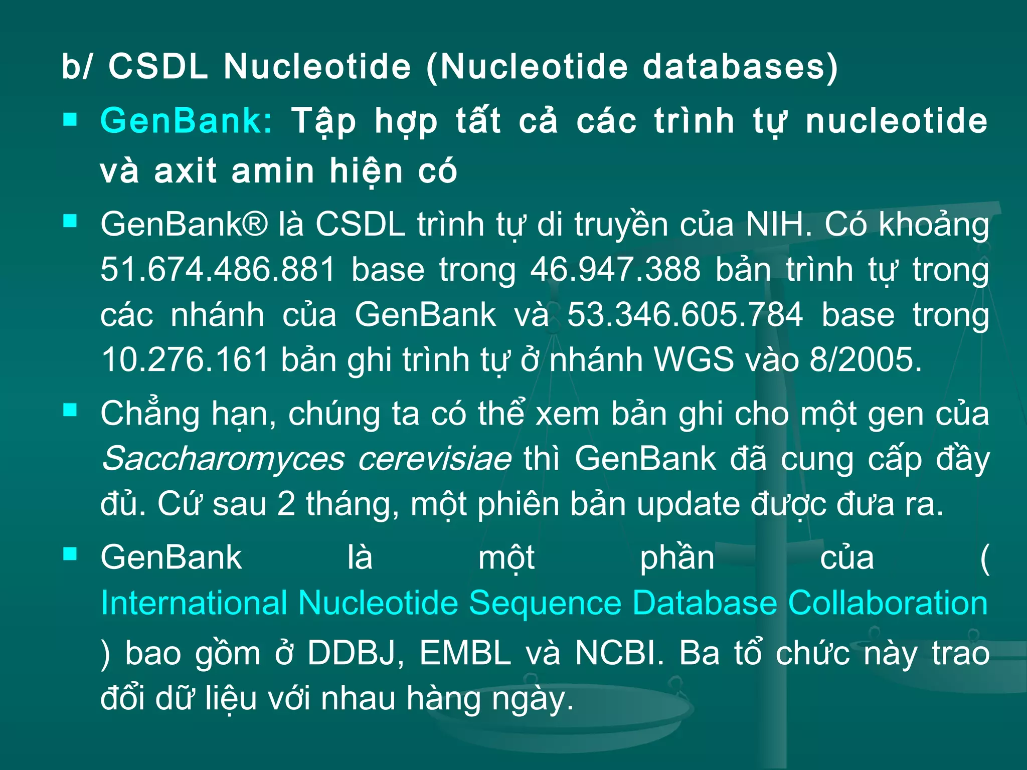 b/ CSDL Nucleotide (Nucleotide databases)
 GenBank: Tập hợp tất cả các trình tự nucleotide
và axit amin hiện có
 GenBank® là CSDL trình tự di truyền của NIH. Có khoảng
51.674.486.881 base trong 46.947.388 bản trình tự trong
các nhánh của GenBank và 53.346.605.784 base trong
10.276.161 bản ghi trình tự ở nhánh WGS vào 8/2005.
 Chẳng hạn, chúng ta có thể xem bản ghi cho một gen của
Saccharomyces cerevisiae thì GenBank đã cung cấp đầy
đủ. Cứ sau 2 tháng, một phiên bản update được đưa ra.
 GenBank là một phần của (
International Nucleotide Sequence Database Collaboration
) bao gồm ở DDBJ, EMBL và NCBI. Ba tổ chức này trao
đổi dữ liệu với nhau hàng ngày.
 