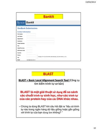 13/03/2013
10
BankIt
BLAST
BLAST = Basic Local Alignment Search Tool (Công cụ
tìm kiếm trình tự cơ bản)
BLAST là một giải thuật sử dụng để so sánh
các chuỗi trình tự sinh học, như các trình tự
của các protein hay của các DNA khác nhau.
– Chúng ta dùng BLAST khi câu hỏi đặt ra “liệu có trình
tự nào trong ngân hàng dữ liệu giống hoặc gần giống
với trình tự của bạn đang làm không? ”
 