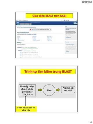 13/03/2013
11
Giao diện BLAST trên NCBI
Trình tự tìm kiếm trong BLAST
Chính xác và hiểu rõ
công việc
 
