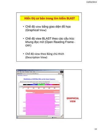 13/03/2013
13
Hiển thị cơ bản trong tìm kiếm BLAST
• Chế độ view bằng giao diện đồ họa
(Graphical View)
• Chế độ view BLAST theo các cấu trúc
khung đọc mở (Open Reading Frame -
ORF)
• Chế độ view theo Bảng chú thích
(Description View)
GRAPHICAL
VIEW
 