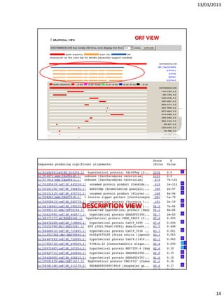 13/03/2013
14
ORF VIEW
DESCRIPTION VIEW
 