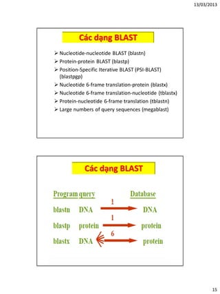 13/03/2013
15
Các dạng BLAST
 Nucleotide-nucleotide BLAST (blastn)
 Protein-protein BLAST (blastp)
 Position-Specific Iterative BLAST (PSI-BLAST)
(blastpgp)
 Nucleotide 6-frame translation-protein (blastx)
 Nucleotide 6-frame translation-nucleotide (tblastx)
 Protein-nucleotide 6-frame translation (tblastn)
 Large numbers of query sequences (megablast)
Các dạng BLAST
 