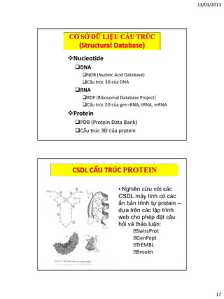 13/03/2013
17
CƠ SỞ DỮ LIỆU CẤU TRÚC
(Structural Database)
Nucleotide
DNA
NDB (Nucleic Acid Database)
Cấu trúc 3D của DNA
RNA
RDP (Ribosomal Database Project)
Cấu trúc 2D của gen rRNA, tRNA, mRNA
Protein
PDB (Protein Data Bank)
Cấu trúc 3D của protein
CSDL CẤU TRÚC PROTEIN
• Nghiên cứu với các
CSDL máy tính có các
ấn bản trình tự protein –
dựa trên các lập trình
web cho phép đặt câu
hỏi và thảo luận:
SwissProt
GenPept
TrEMBL
Brookh
 