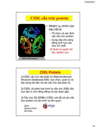 13/03/2013
18
CSDL cấu trúc protein
• Nhiệm vụ chính của
hầu hết là
– Tổ chức và xác định
các cấu trúc protein,
– Cung cấp cho cộng
đồng sinh học các
hữu ích nhất
 Quản lý nguồn dữ
liệu nghiên cứu
PDB -Insulin hexamer
CSDL Protein
 CSDL cấu trúc đại phân tử (Macromolecular
Structure Databases-EBI) -lựa chọn, quản lý và
xây dựng dữ liệu về các cấu trúc đại phân tử.
 CSDL về phân loại trình tự cấu trúc (EBI) cấu
trúc bậc 2, tính đồng đẳng và các đoạn gấp
 Cấu trúc 3D (EMBL) CSDL của tất cả các cấu
trúc protein và các trình tự liên quan.
PIR
SWISS-PROT
TrEMBL
 