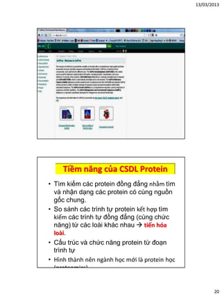 13/03/2013
20
Tiềm năng của CSDL Protein
• Tìm kiếm các protein đồng đẳng nhằm tìm
và nhận dạng các protein có cùng nguồn
gốc chung.
• So sánh các trình tự protein kết hợp tìm
kiếm các trình tự đồng đẳng (cùng chức
năng) từ các loài khác nhau  tiến hóa
loài.
• Cấu trúc và chức năng protein từ đoạn
trình tự
• Hình thành nên ngành học mới là protein học
(proteomics)
 
