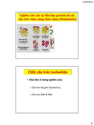 13/03/2013
21
Nghiên cứu các sự tiến hóa protein từ các
cấu trúc chức năng khác nhau (Proteomics)
CSDL cấu trúc nucleotide
• Chia làm 2 mảng nghiên cứu:
– Cấu trúc hệ gene (Genomics)
– Cấu trúc DNA & RNA
 